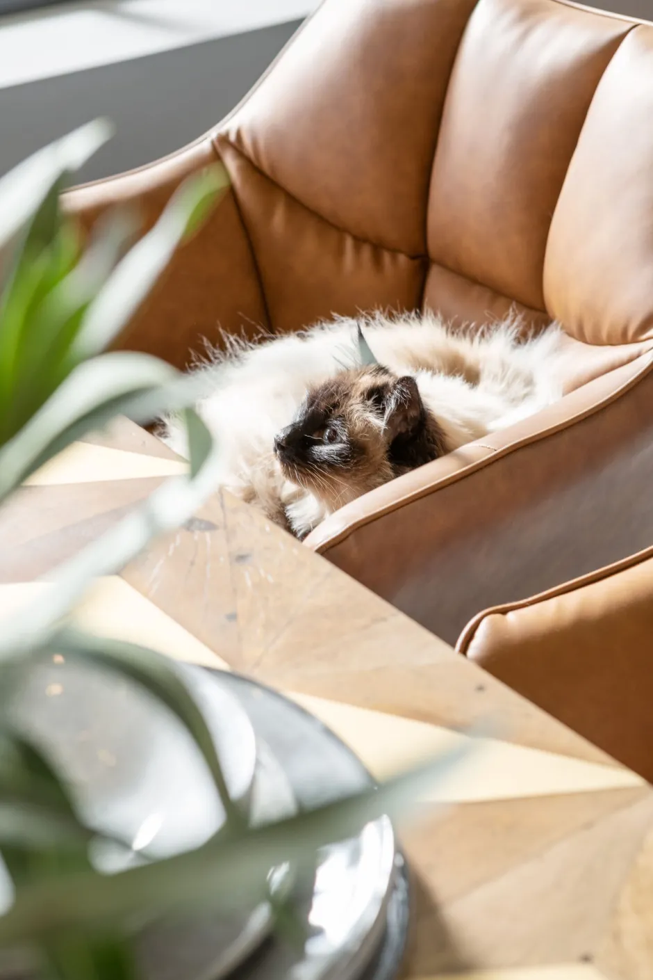 KARE Armlehnstuhl Thinktank Braun