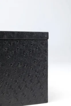 KARE Box Crocodile Schwarz (2/Set)