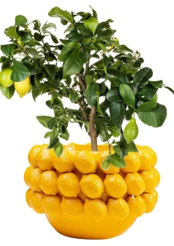 KARE Deko Übertopf Lemon Juice 22cm