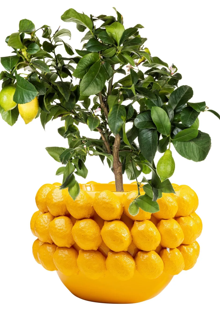 KARE Deko Übertopf Lemon Juice 22cm