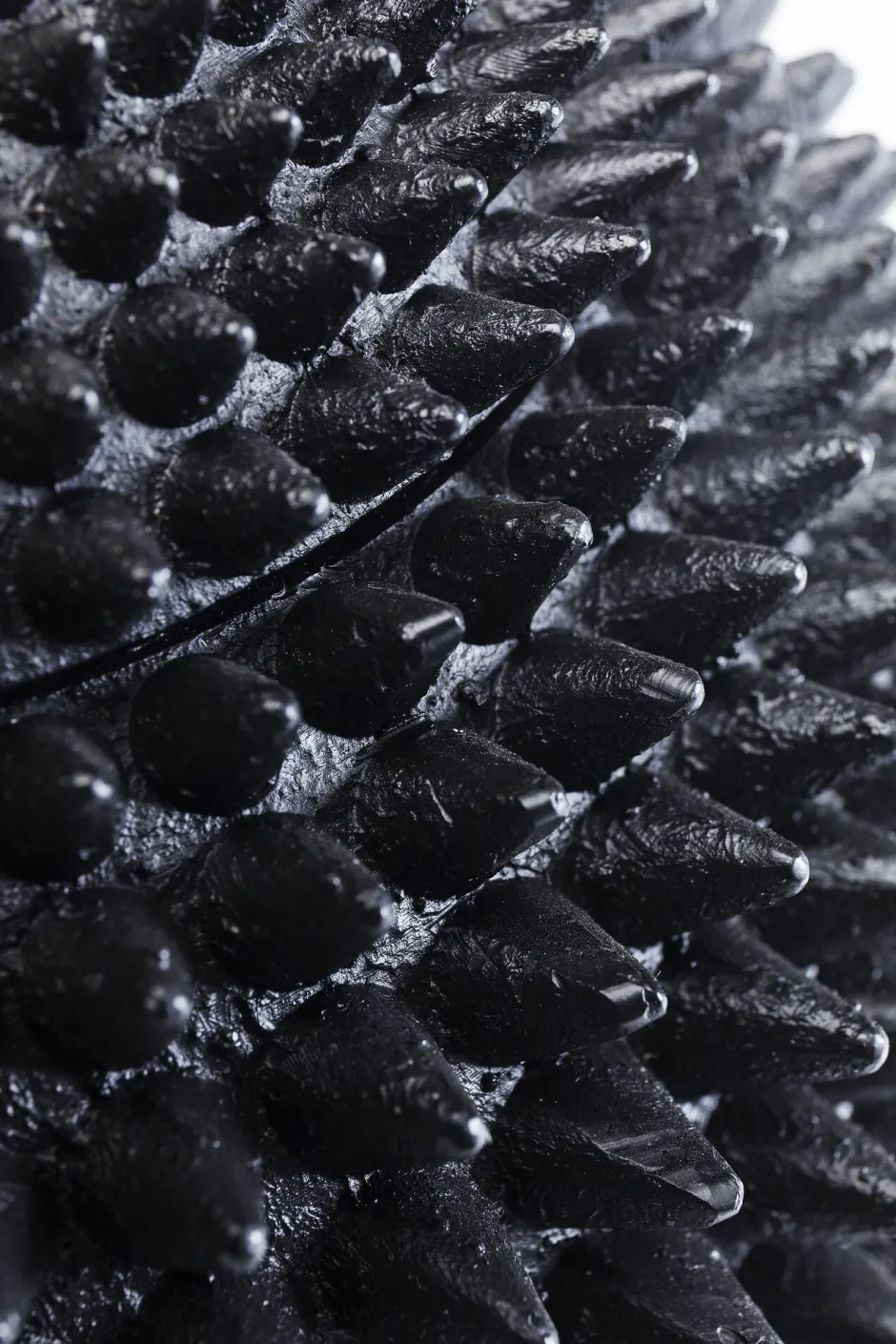 KARE Deko Dose Parrot 40cm