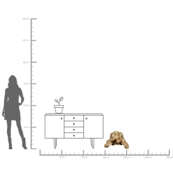 KARE Deko Figur Turtle Gold Groß