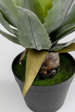 KARE Deko Pflanze Agave 40cm