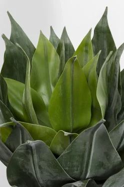 KARE Deko Pflanze Agave 120cm