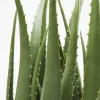 KARE Deko Pflanze Aloe 69cm