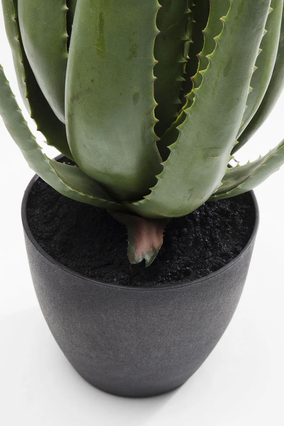 KARE Deko Pflanze Aloe 69cm