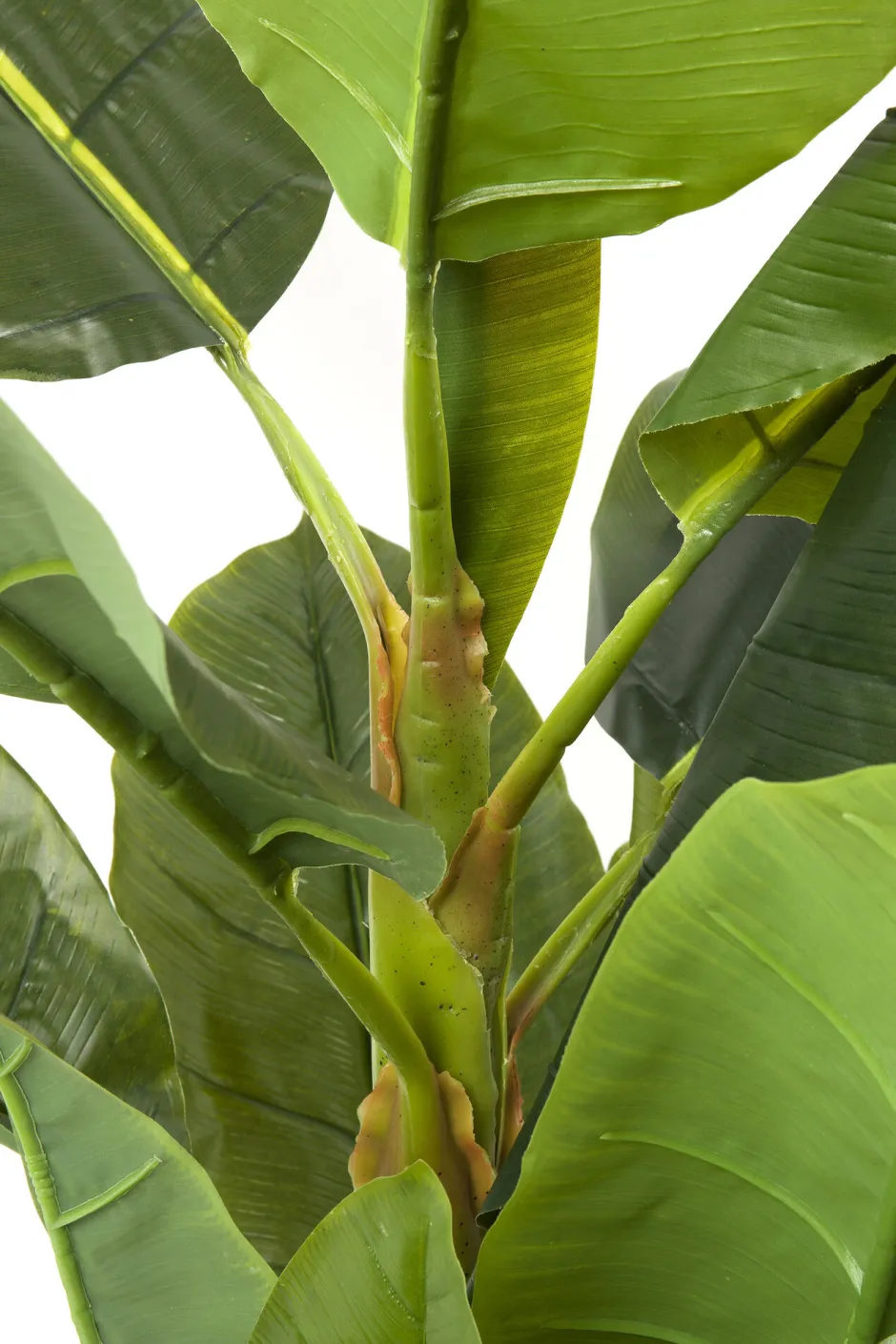 KARE Deko Pflanze Banana Tree 180cm