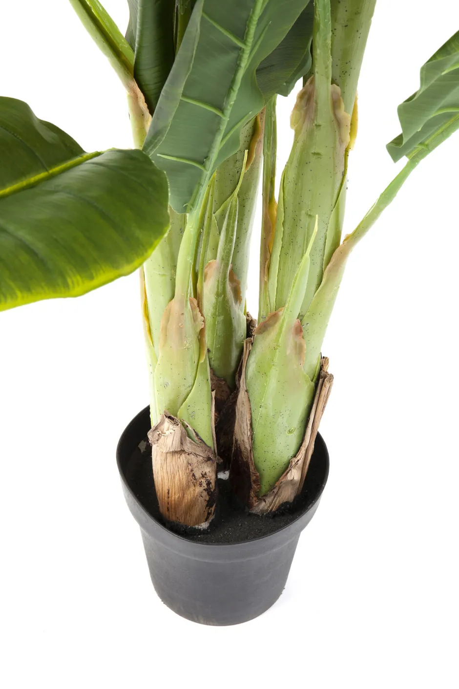 KARE Deko Pflanze Banana Tree 180cm