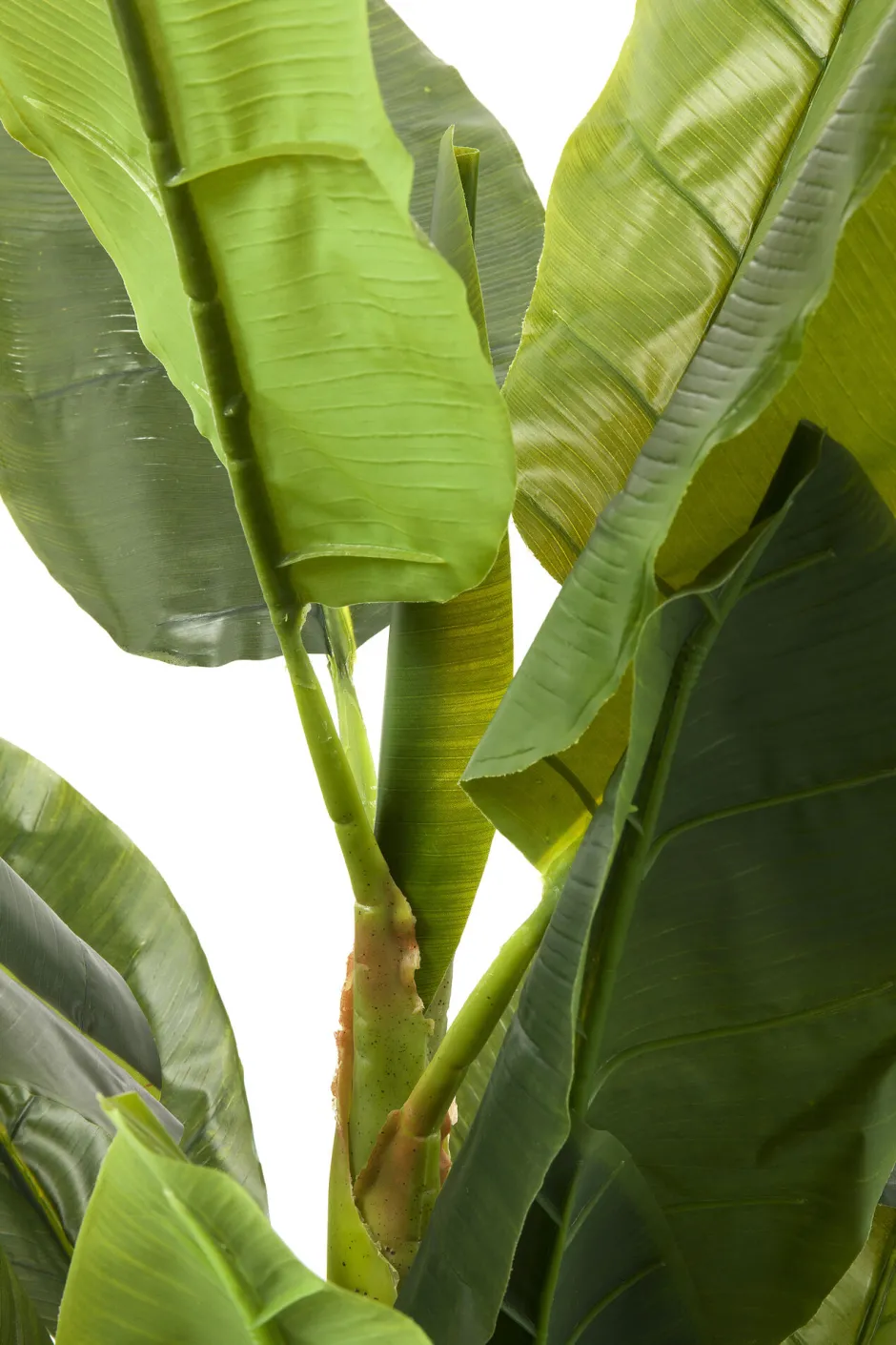 KARE Deko Pflanze Banana Tree 180cm