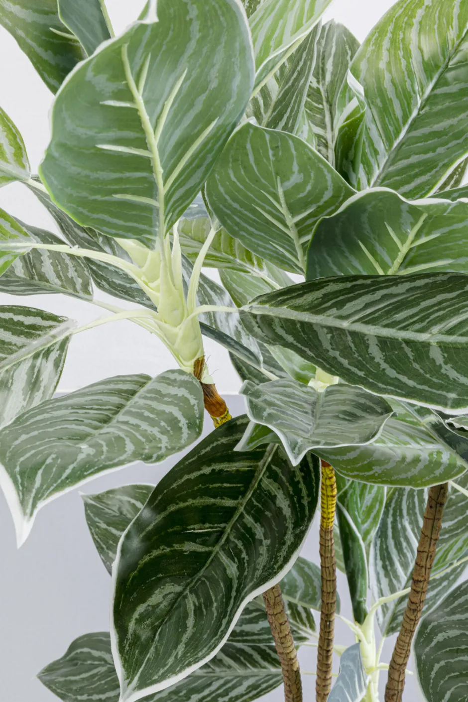 KARE Deko Pflanze Calathea 140cm