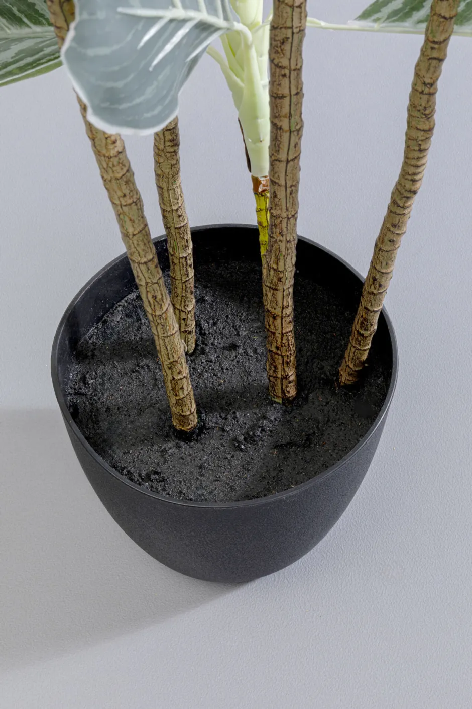 KARE Deko Pflanze Calathea 140cm