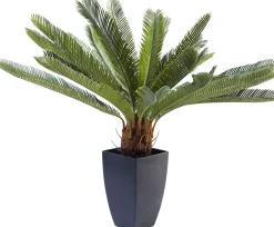 KARE Deko Pflanze Cycas Tree 78cm