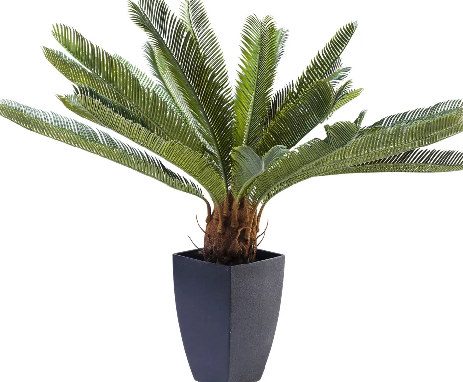 KARE Deko Pflanze Cycas Tree 78cm