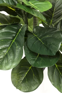 KARE Deko Pflanze Fiddle Leaf 120cm