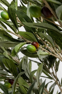 KARE Deko Pflanze Olive Tree 120cm