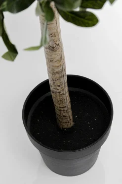 KARE Deko Pflanze Olive Tree 120cm