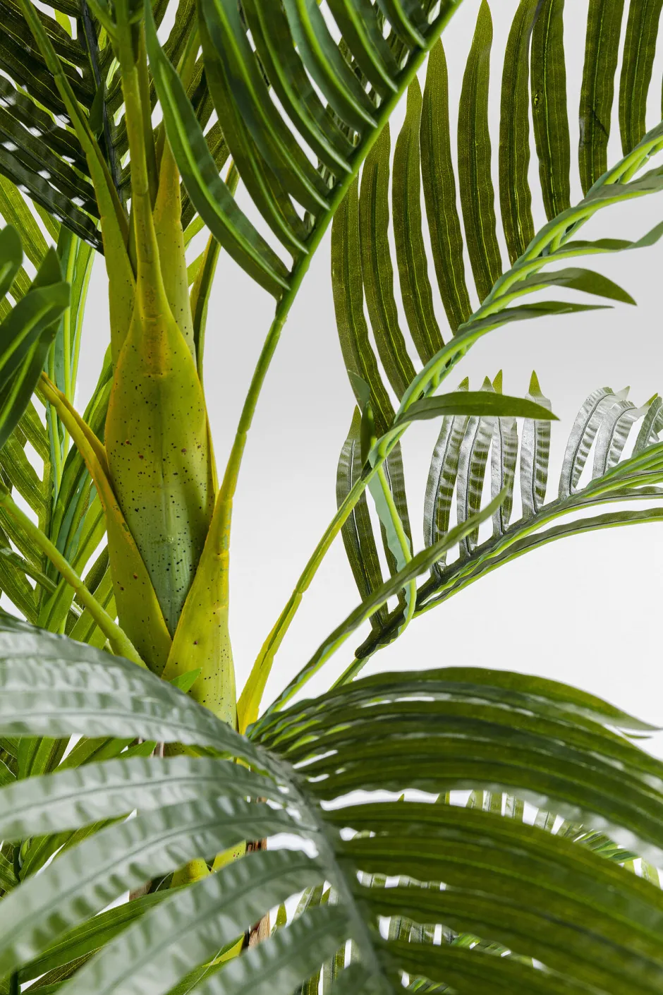 KARE Deko Pflanze Palm Tree 190cm