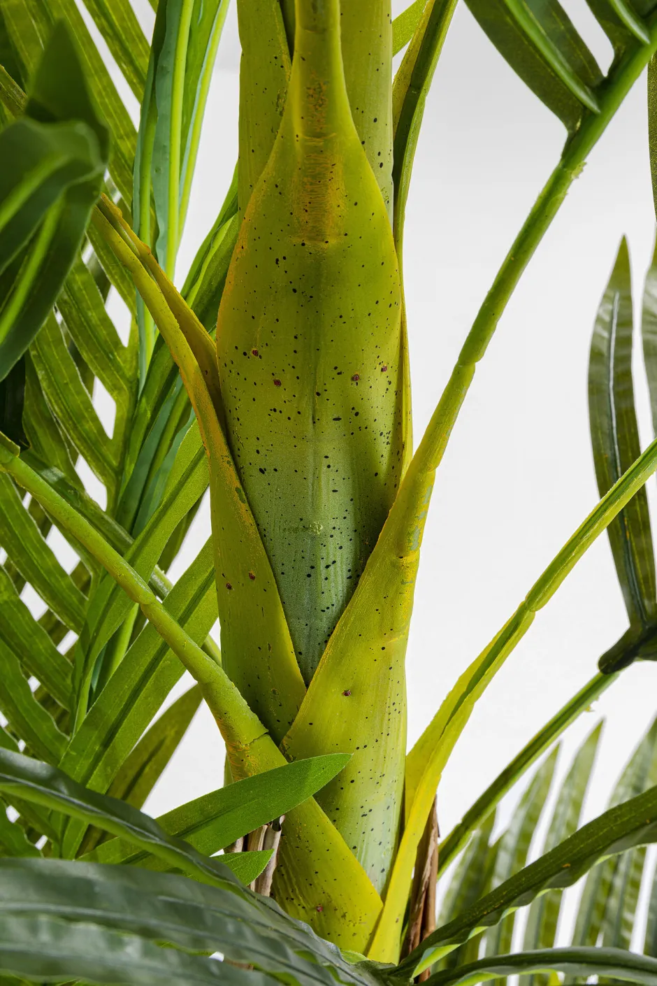 KARE Deko Pflanze Palm Tree 190cm