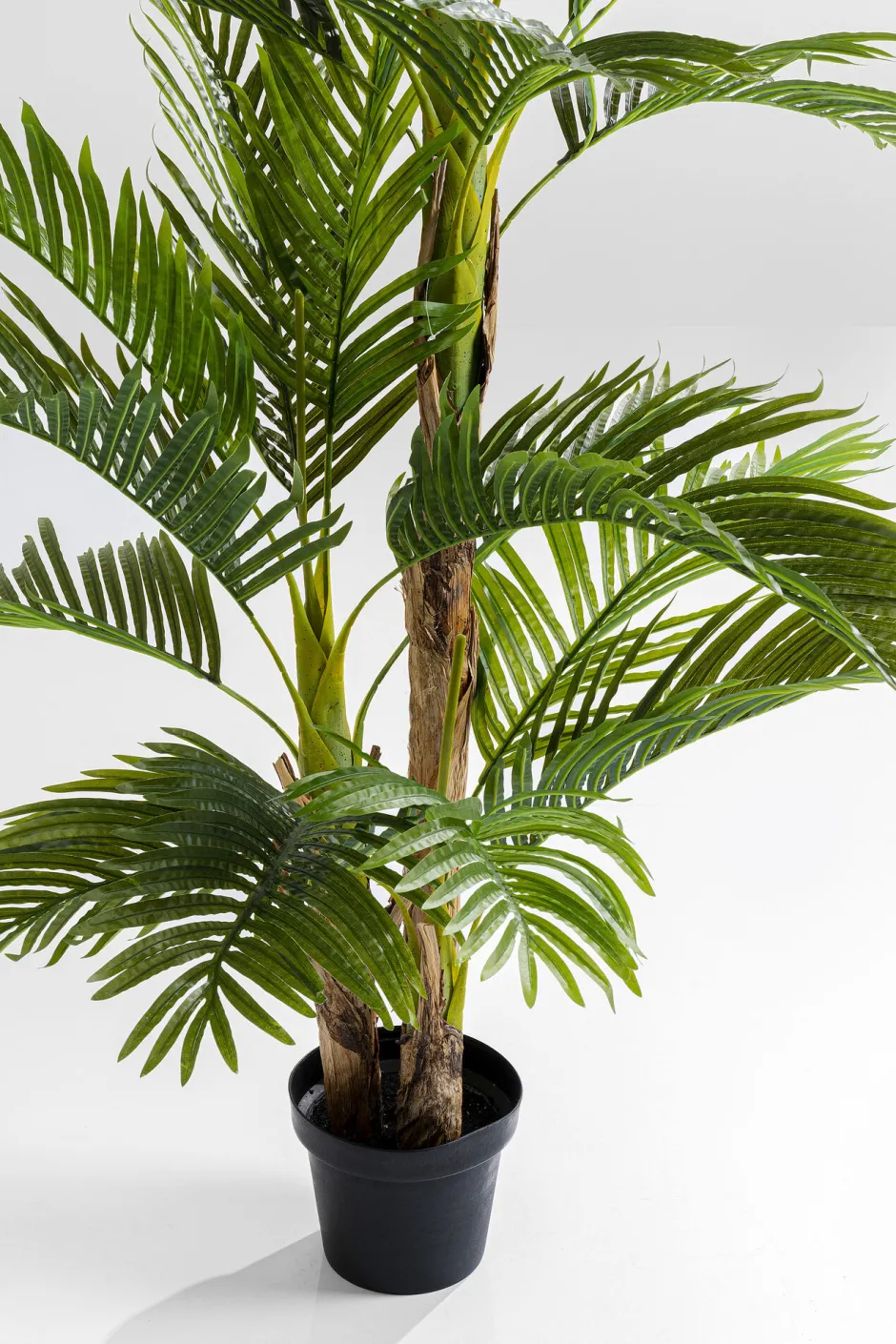 KARE Deko Pflanze Palm Tree 190cm