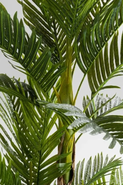 KARE Deko Pflanze Palm Tree 190cm