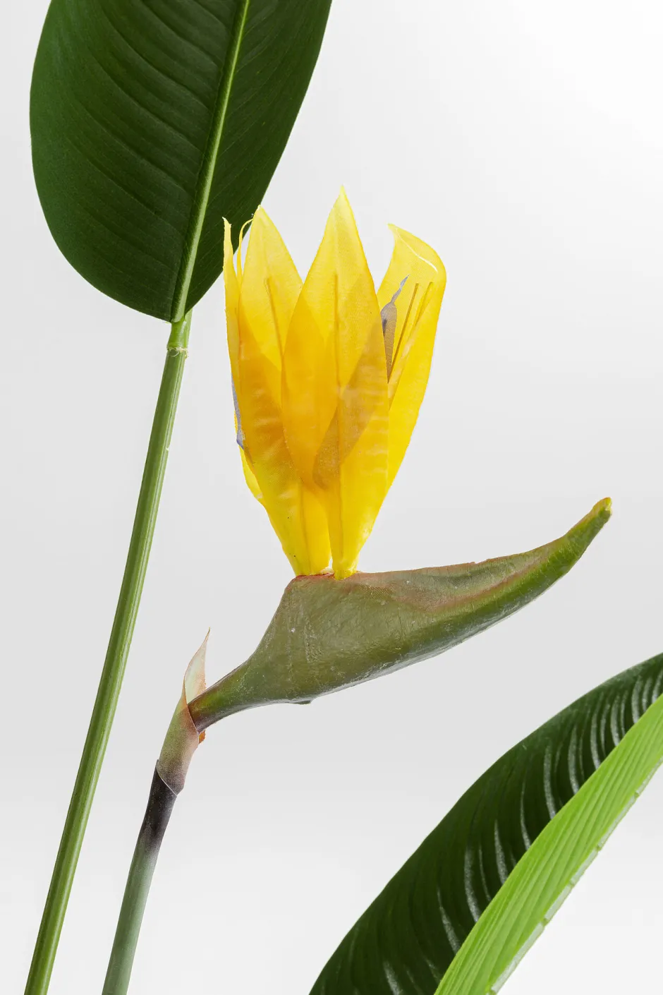 KARE Deko Pflanze Paradise Flowers 190cm