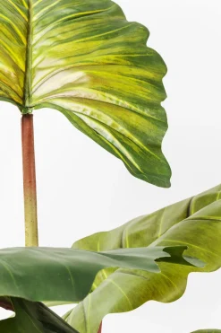 KARE Deko Pflanze Rainforest Green 160cm