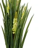 KARE Deko Pflanze Rhynchostylis 150cm