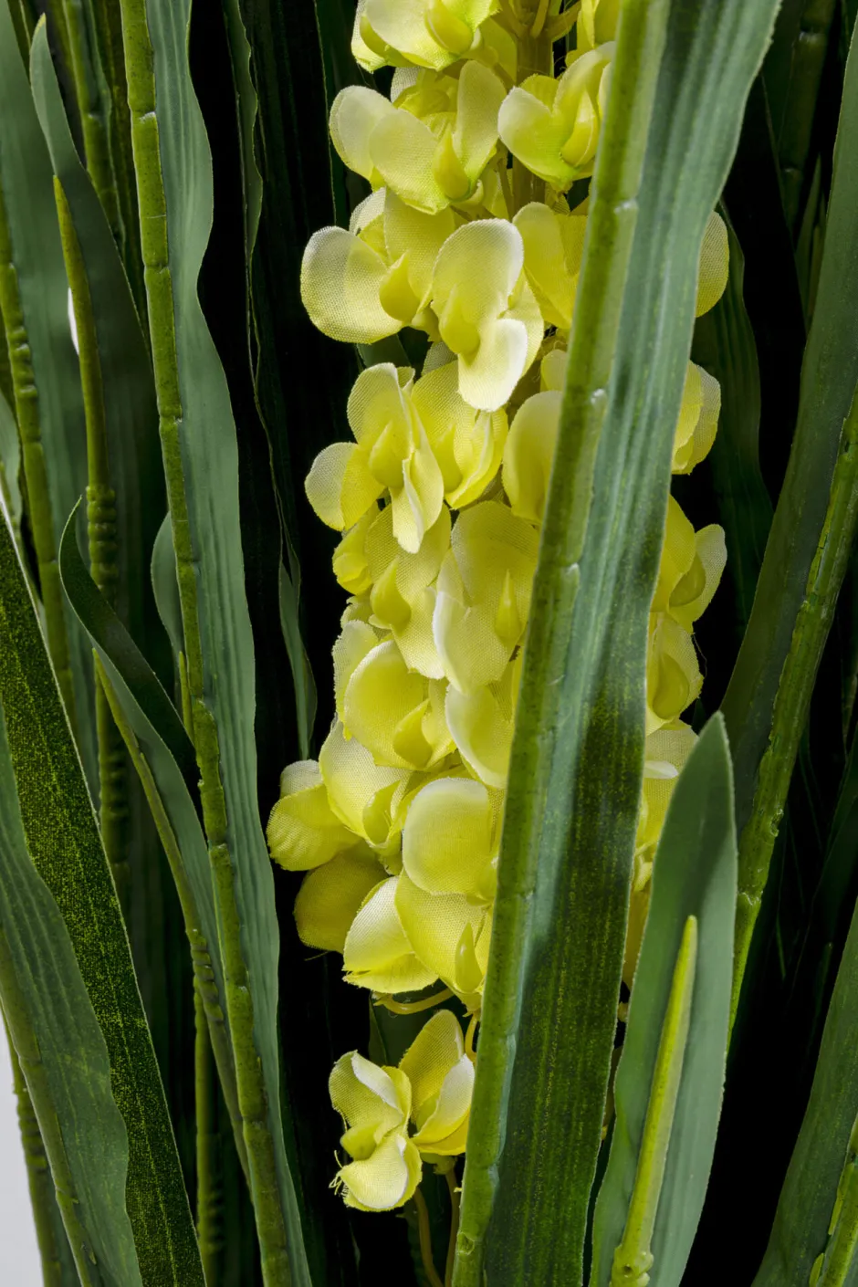 KARE Deko Pflanze Rhynchostylis 150cm