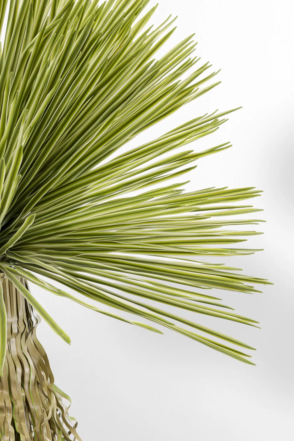 KARE Deko Pflanze Yucca Rostrata 180cm