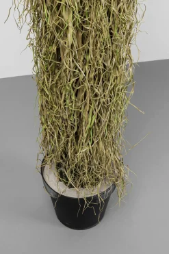 KARE Deko Pflanze Yucca Rostrata 180cm