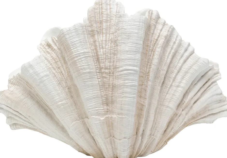 KARE Deko Vase Concha 57cm