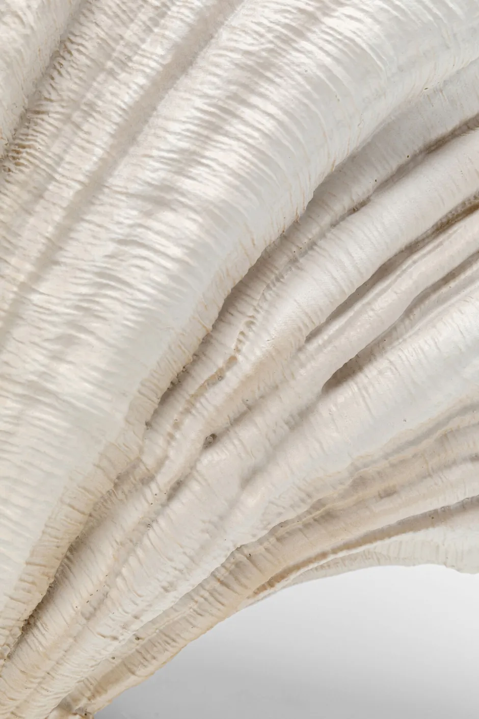 KARE Deko Vase Concha 57cm