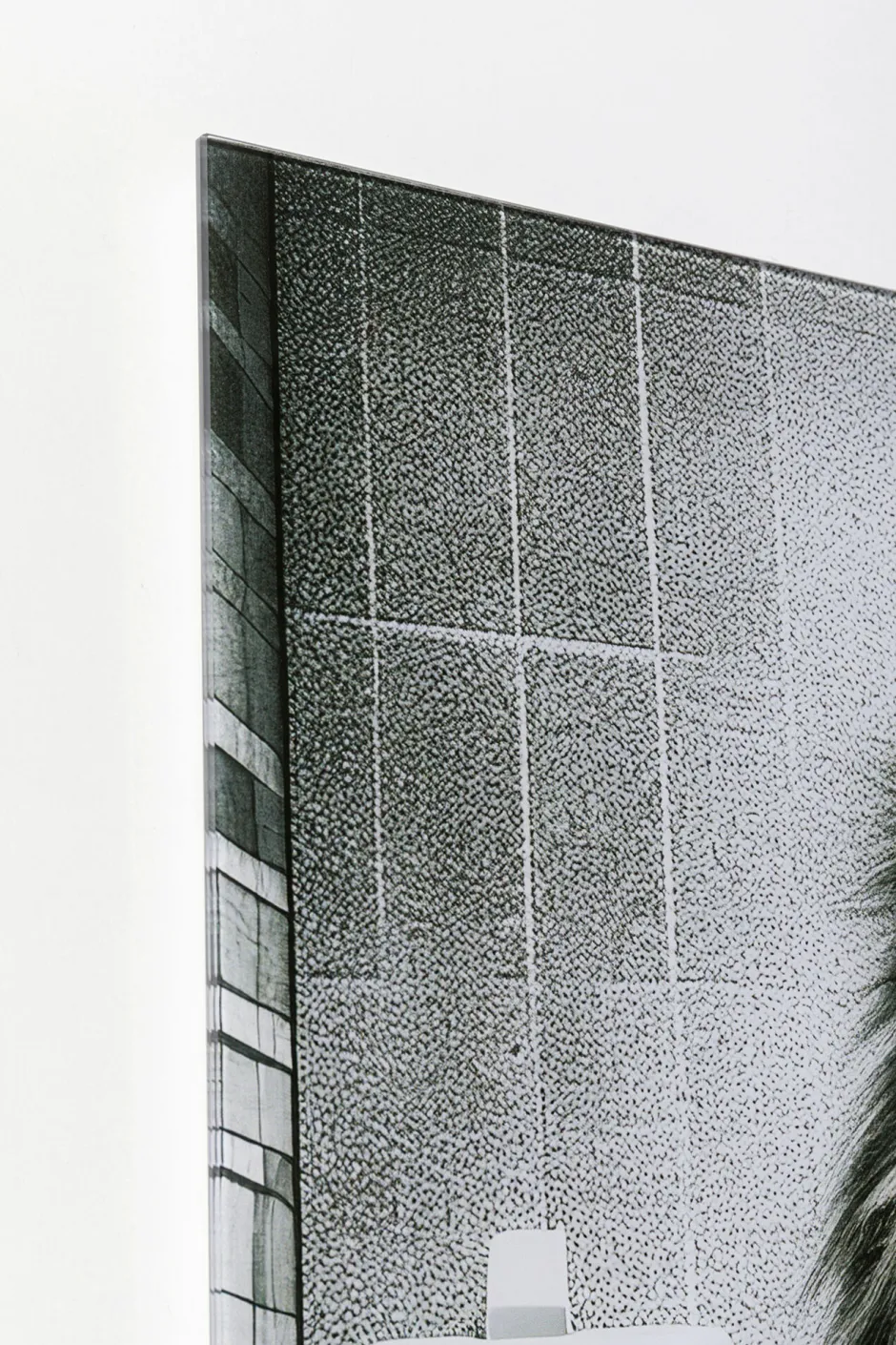 KARE Glasbild Bath Lion 60x80cm