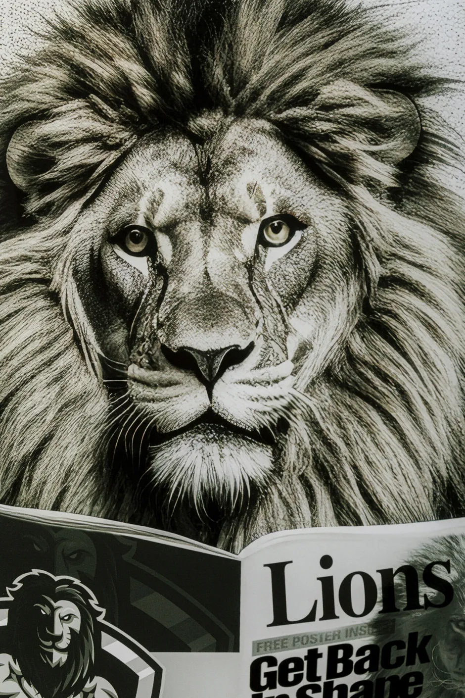 KARE Glasbild Bath Lion 60x80cm