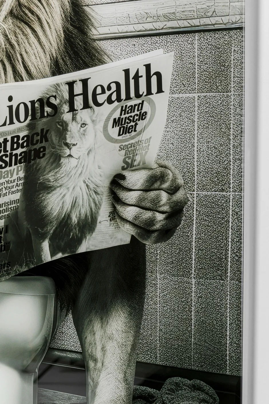 KARE Glasbild Bath Lion 60x80cm