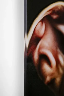 KARE Glasbild Dog Familiy 110x90cm