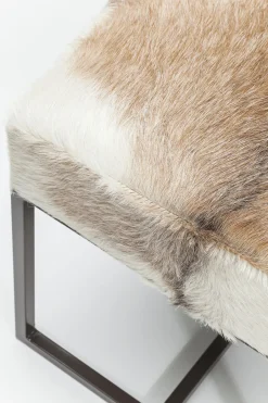 KARE Hocker Country Life