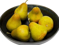 KARE Schale Kassandra Ø23cm