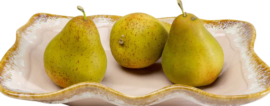 KARE Servierplatte Nala Rosa 17x26cm