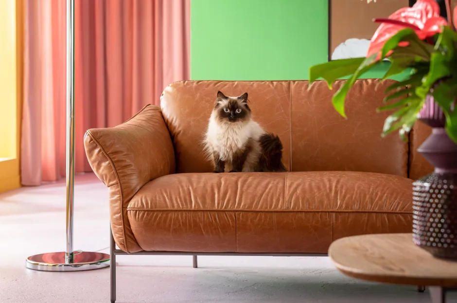 KARE Sofa Napa 226cm