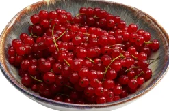 KARE Teller Tief Laguna Blau Ø20cm