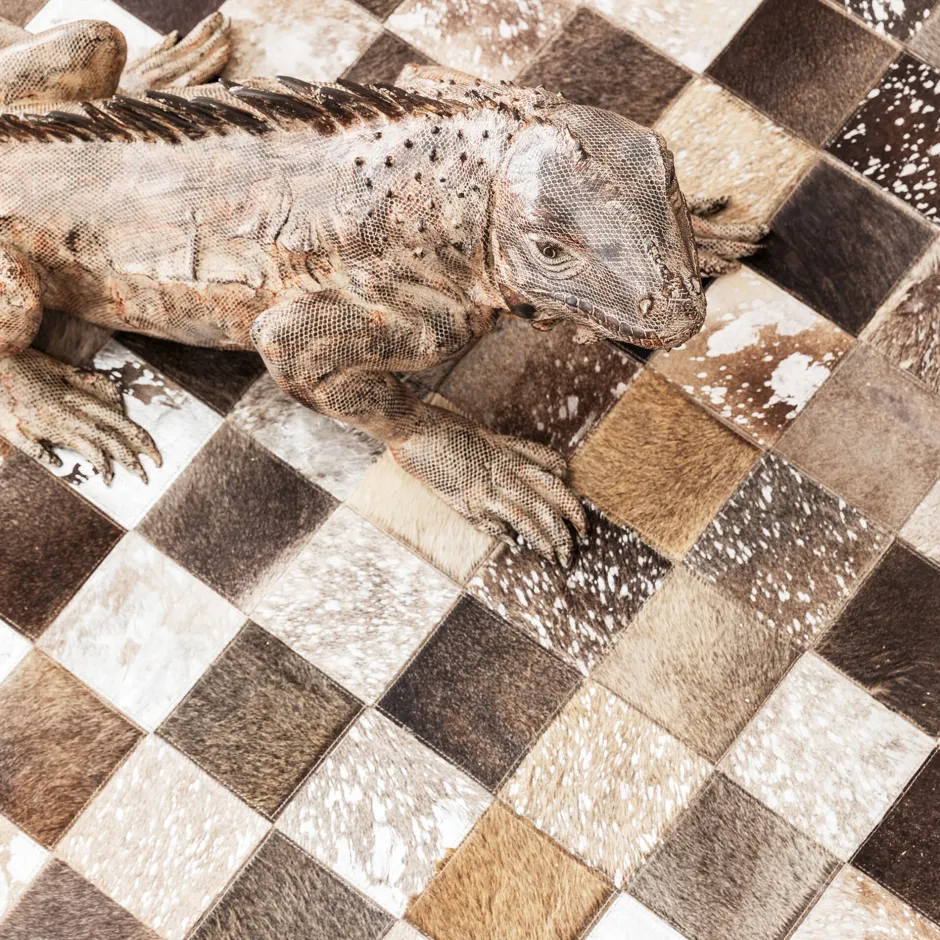 KARE Teppich Cosmo Grau Fur 170x240cm