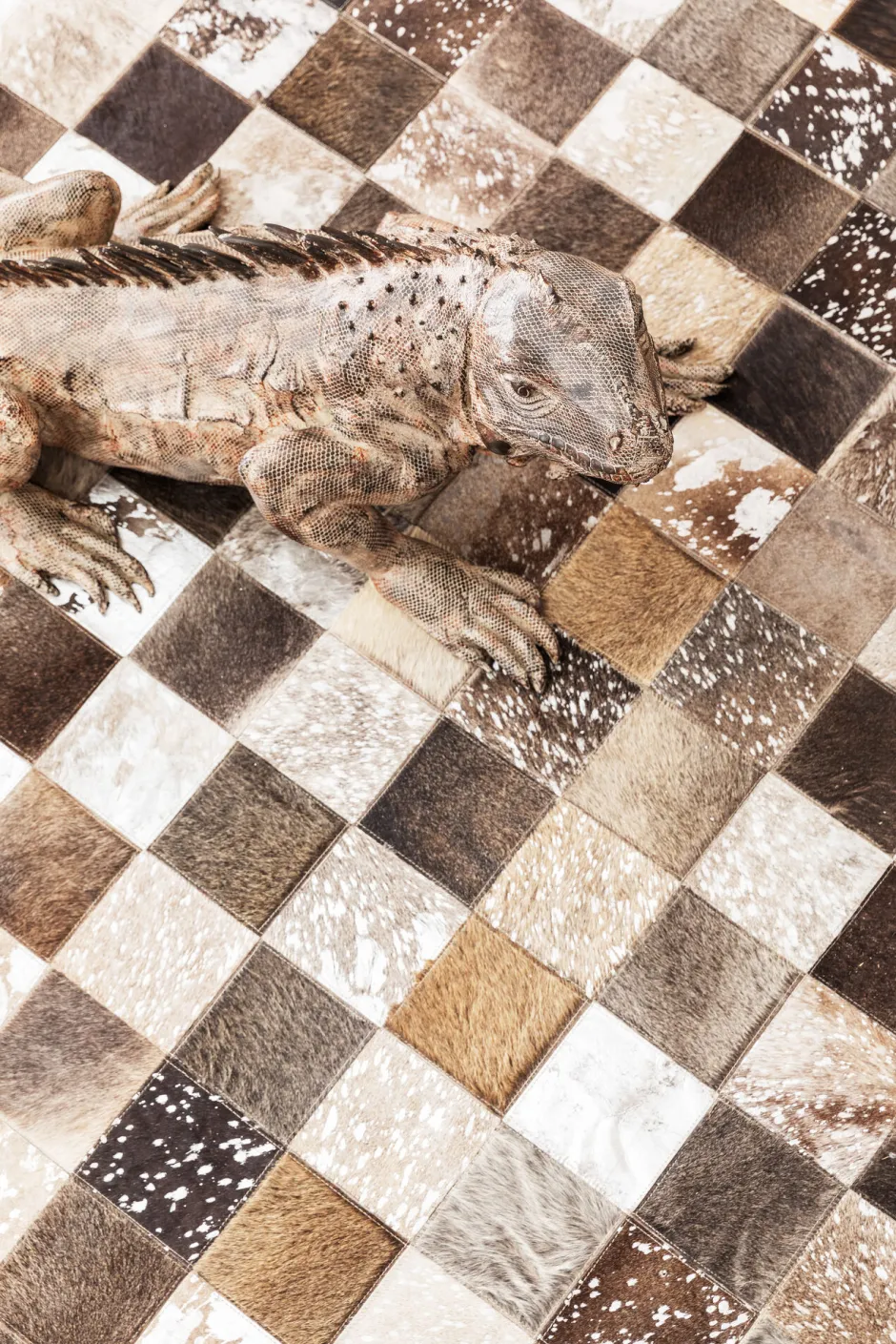 KARE Teppich Cosmo Grau Fur 170x240cm