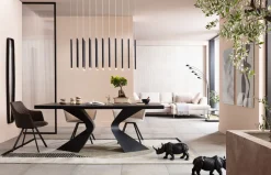 KARE Teppich Levia 200x300cm