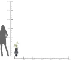 KARE Vase Roulette Belly 42