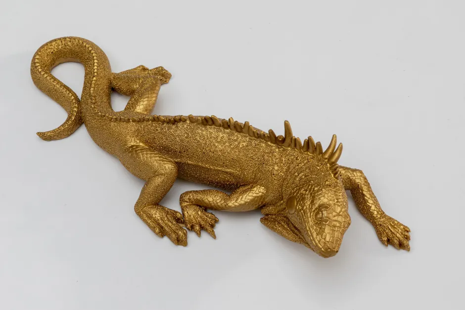 KARE Wandobjekt Lizard 31x11cm