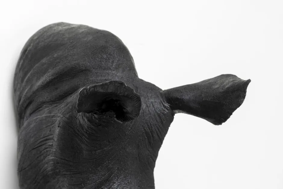 KARE Wandobjekt Rhino Head Antique Schwarz 22x43cm