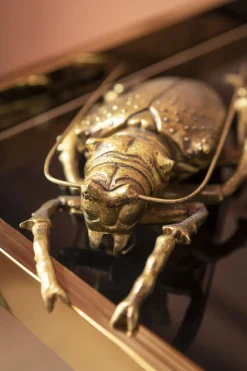 KARE Wandschmuck Longicorn Beetle Gold