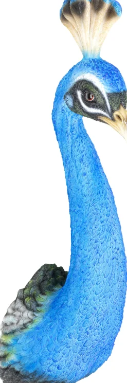KARE Wandschmuck Peacock